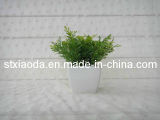 Artificial Plastic Grass Bonsai (C0031)