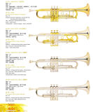 Professional EVA Seriece Trumpet (JYTR-A400, JYTR-A410, JYTR-A500, JYTR-A510)