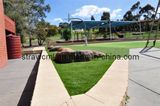 Natural Looking Artificial Grass