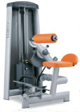 Weight Stack Fitness Equipment / Back Extension (SL45)