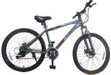 Phoenix Bicycle