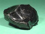 Bitumen 60/70 80/100