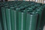 Hot Sale PVC Coated Welded Wire Mesh / Metail Wire Netting