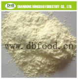 Garlic Powder 100-120 Mesh From Factory