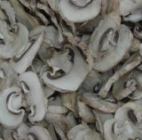 Dried Champignon Mushroom