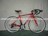 Red Sport Bicycle with Lowest Price (SB-005)