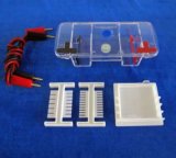 Small Size Gel Electrophoresis Cell