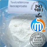 Muscle Building Raw Steroid Powder Testosterone Isocaproate