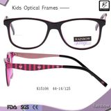 New Style Square Shape Eyewear with Nice Temple (K15108)