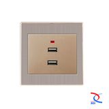 Brush Silver Color 2 USB Wall Socket