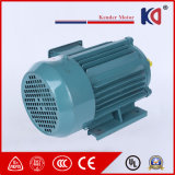 Asynchronous Electric Motor for Food Machinery