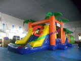 Popular Inflatable Castle/ Pool/ Slide