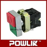 Double Head Push Button Switch (XB4-BL8425)