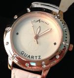 Fashion Quartz Lady Watch (XM7015)
