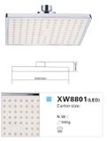 LED Shower Head (XW8801)