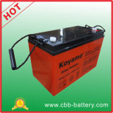 Top Quality 100ah 12V Deep Cycle AGM Storage UPS Backup Battery