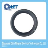 Two Pole Permanent Ring Ferrite Material Magnet