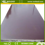 Hot Sale Brown Film Faced Plywood for Shuttering (w15091)
