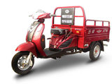 Pedal Type Gasoline Tricycle