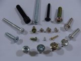 Standard/Customized Self Tapping Stainless Screws and Fasteners