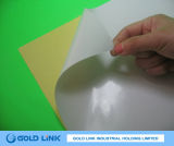 Adhesive High Glossy Paper