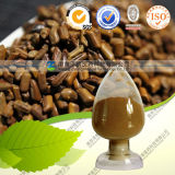 Natural 10: 1 20: 1 Cassia Seed Extract