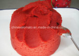 Tomato Paste Manufacturer Tomato Paste Export in China