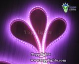 12V Waterproof LED Strip Lights (TP-3528-60-P)