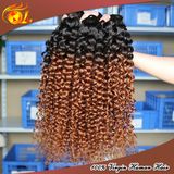 Human Hair Ombre Bundles Hair Weaves Two Tone Ombre Marley Braid Hair