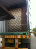 WBP Grade Tego Film Faced Plywood with Logo