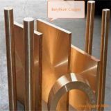Beryllium - Copper Alloy C17200