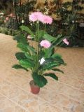 Artificial Plants and Flowers of Gerbera 120cm