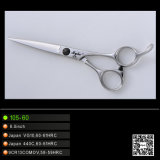 Professional Hairdressing Beauty Scissors (105-60)