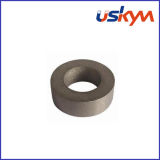Sm2co17 Ring Rare Earth Magnets (R-002)