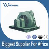 High Voltage Electric Motor