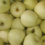 Fresh Golden Delicious Apple (18kg 100-113-125)
