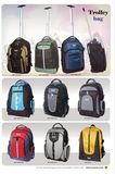 Trolley Bag