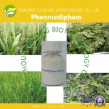 Good Quality Herbicides Phenmedipham (95%TC, 16%EC)