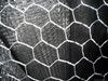 Hexagonal Wire Mesh