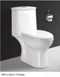 2PCS Toilet (PO2210)