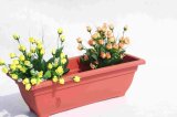 Plastic Flower Pot-1