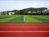 Artifical Grass, Football Grass, Grass Carpet (PD/SM50F1)