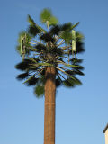 Bionic Palm Tower (FOSTO-B02)