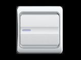 Switch