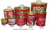 Canned Tomato Paste