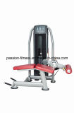 Lying Leg Curl Commercial Fitness/Gym Equipment with SGS/CE