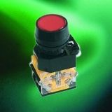 Push Button/Button Switch (LA39C-11) 