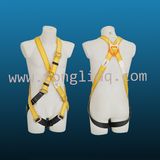 Hanging Full Body Safety Belt (AS-144)