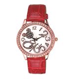 Fashion Ladies Watch (3799L)