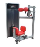 Fitness Equipment / Gym Equipment / Torso Rotation (SA21)